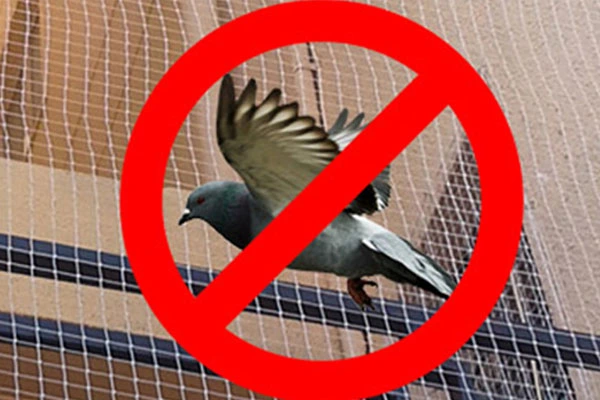pigeon safety nets in Tirupati